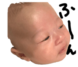 346913443