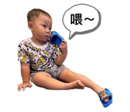 347005631