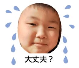 347068561