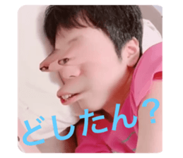 347119566