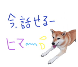 347122997