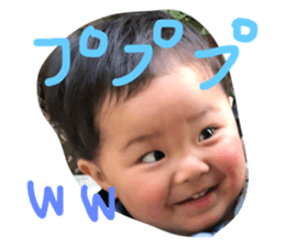 34714448
