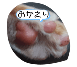 347157091
