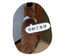 347157099