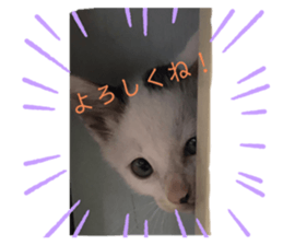 347281575