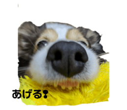 347335881