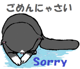 3474611