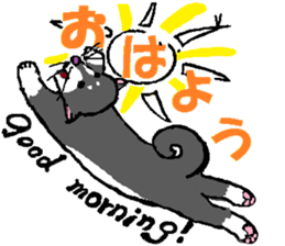 3474614