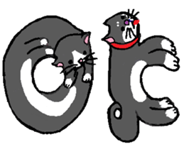 3474630