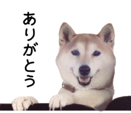 347466263
