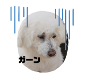 347486981