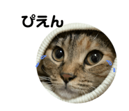 347557189