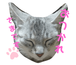 347627950