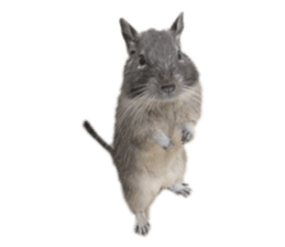 347753477