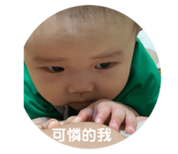347772320
