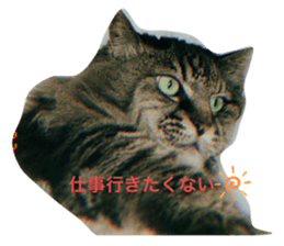 347787409