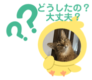 347824368