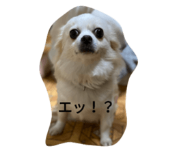 347871620
