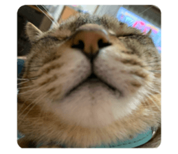 347949234