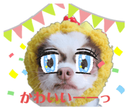347962723