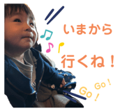 348005429