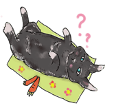 348018978