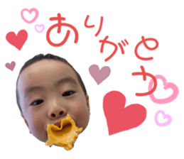 348020176