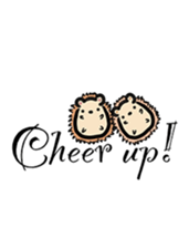 348048981