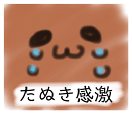 348077025