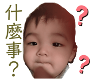 348088981