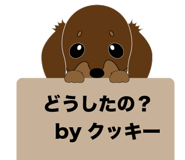 348148121