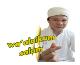 348264661