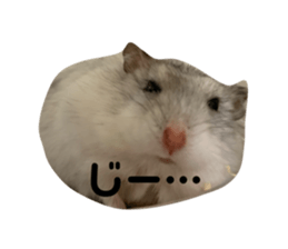 348291357