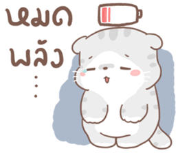 เหมียวขอ 2 รูปที่ 11