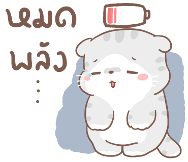 ลายที่ 11