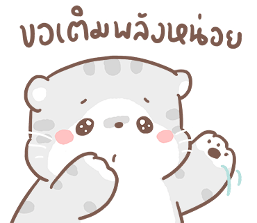ลายที่ 12