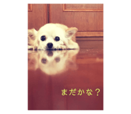 348448736