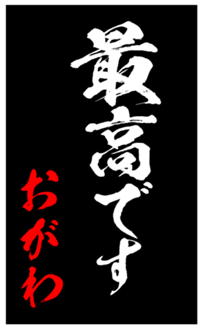 348453801