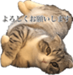 348501281