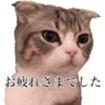 348501282