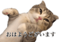 348501284