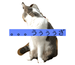 348505496