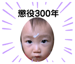 348506052
