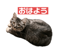 348540014