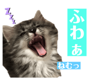 348540020