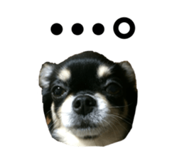348546566