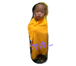 34855066