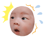 348641391