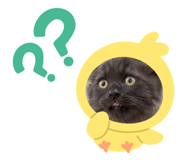 348702067