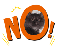 348702071